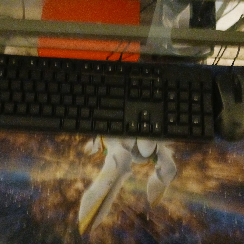 Pc,monitor,keyboard,mouse - Picture 4 of 4